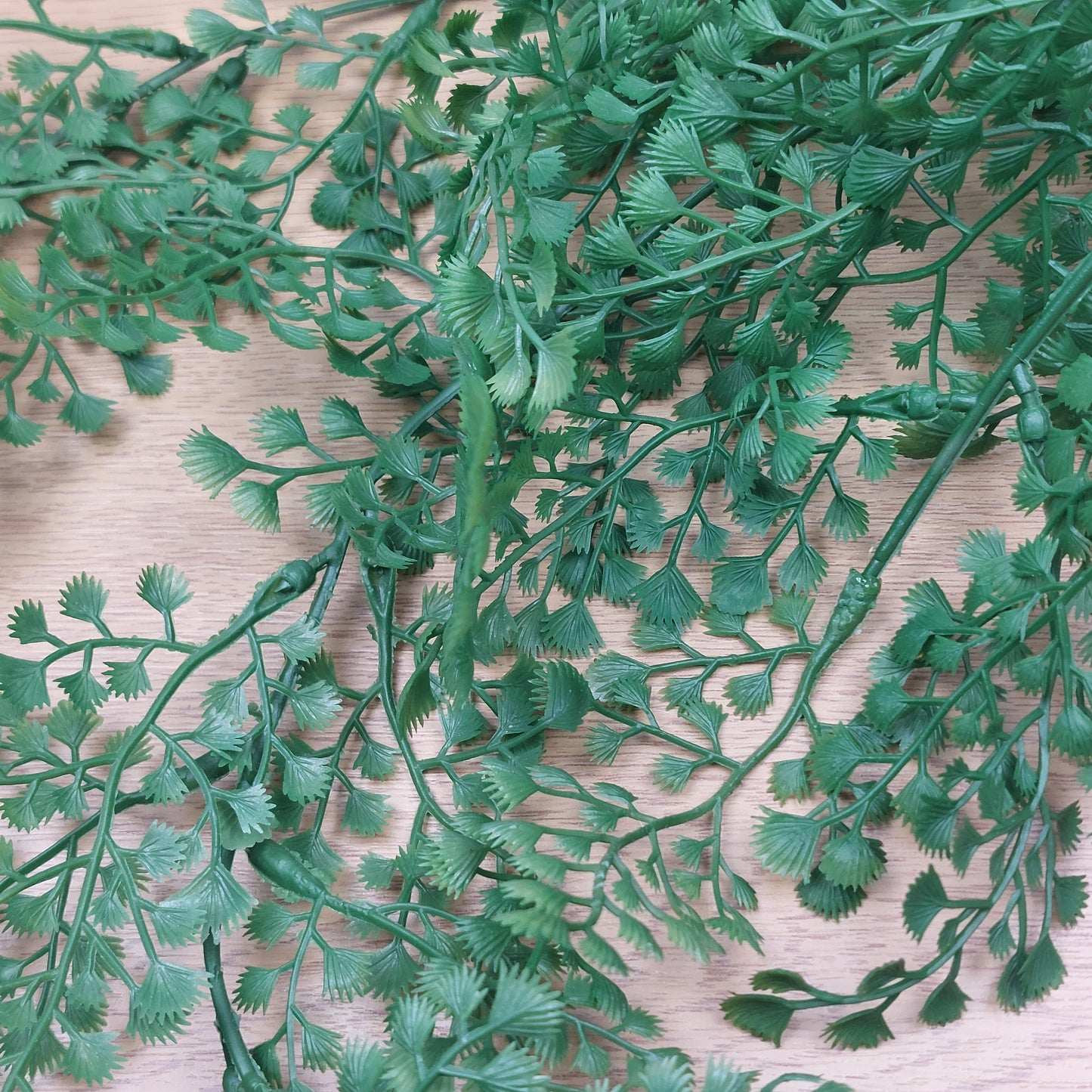 Close up of Green artificial leaves on a wooden surface