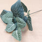 A stem of artificial green and ivory Fittonia leaves against a wooden background