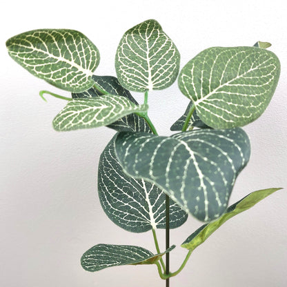 A spray of artificial green and ivory Fittonia leaves against a pale background 