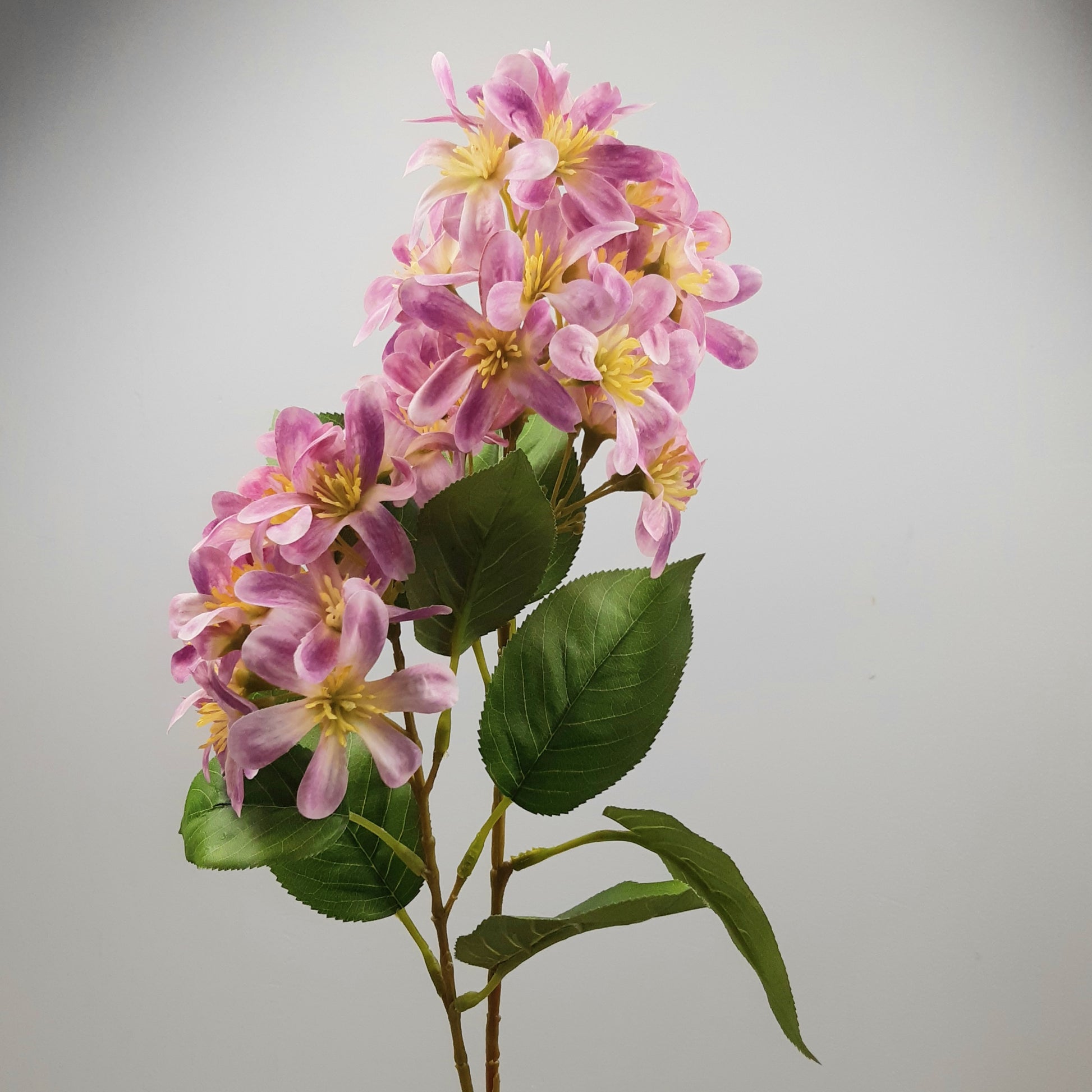 Artificial light pink Vernicia flower spray with green leaves on a grey background