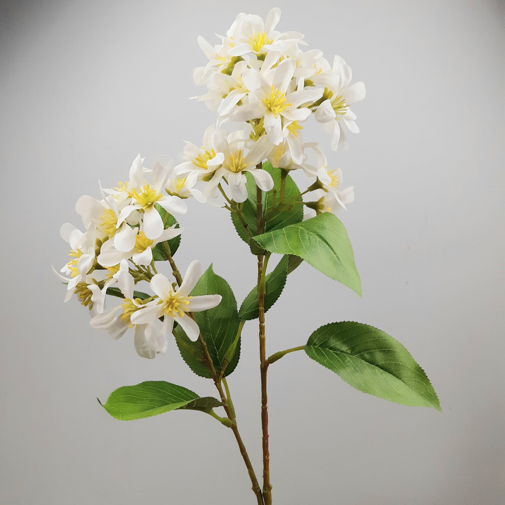 Artificial white faux vernicia flower spray with green leaves and yellow centers on a grey background