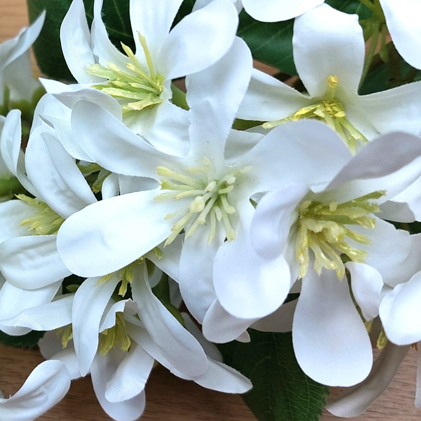 Close-up of artificial white Vernicia Tung Blossom flowers with green centers on a wooden surface