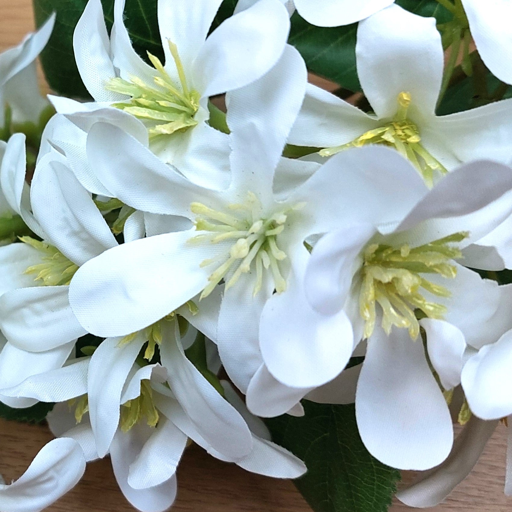 Close-up of artificial white Vernicia Tung Blossom flowers with green centers on a wooden surface
