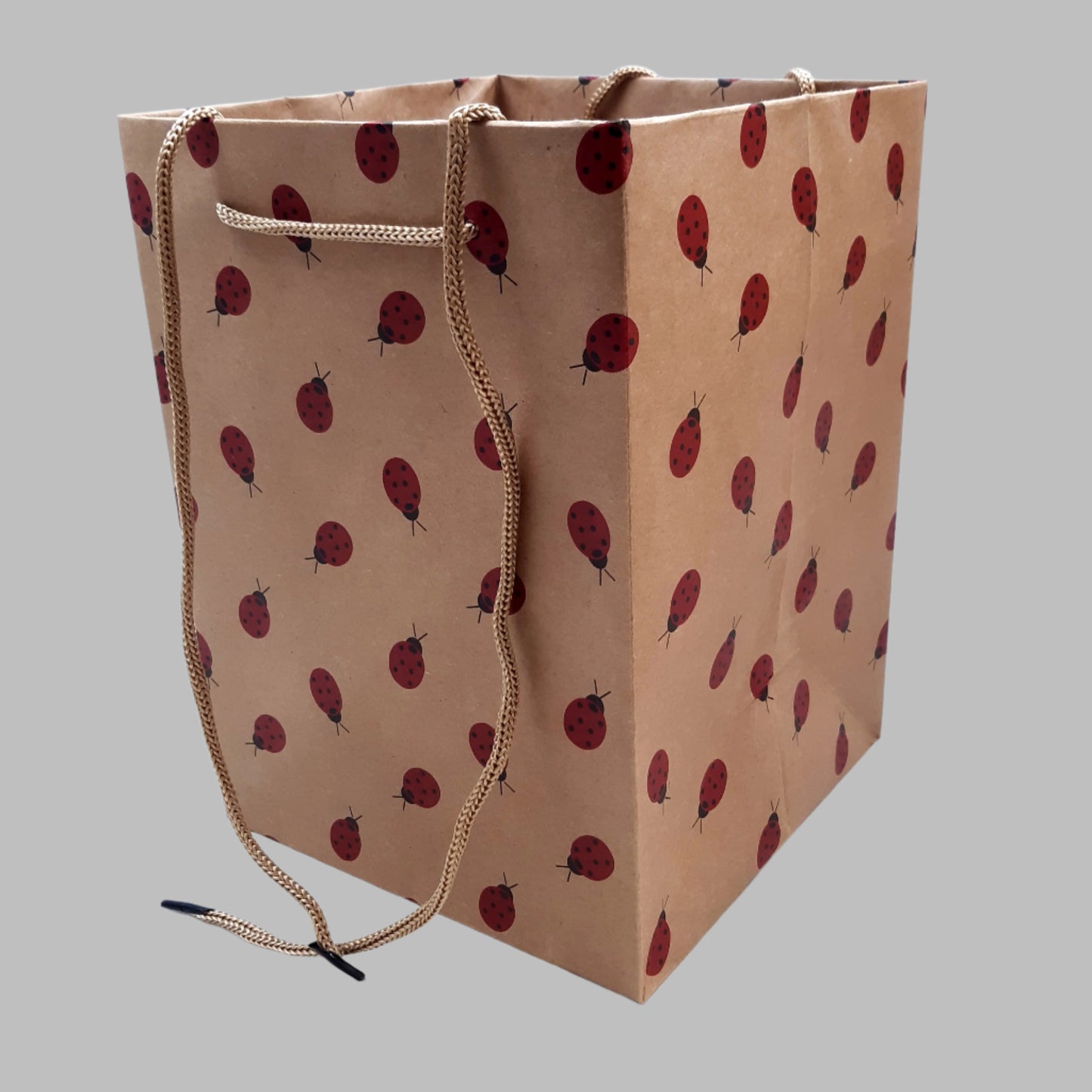 Hand-Tie-Gift-Bags-Kraft-Natural-Ladybirds-25cm-x-18cm-x-18cm-Pack-of-10-Bags