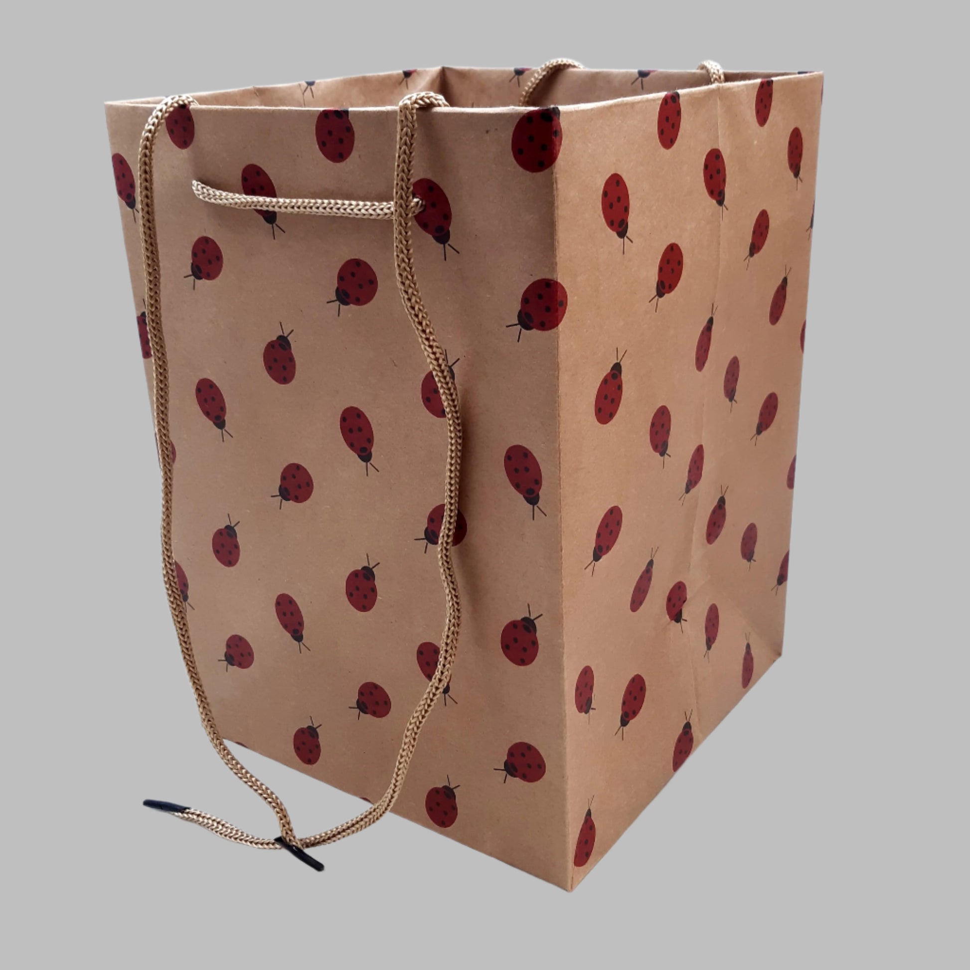 Hand-Tie-Gift-Bags-Kraft-Natural-Ladybirds-25cm-x-18cm-x-18cm-Pack-of-10-Bags