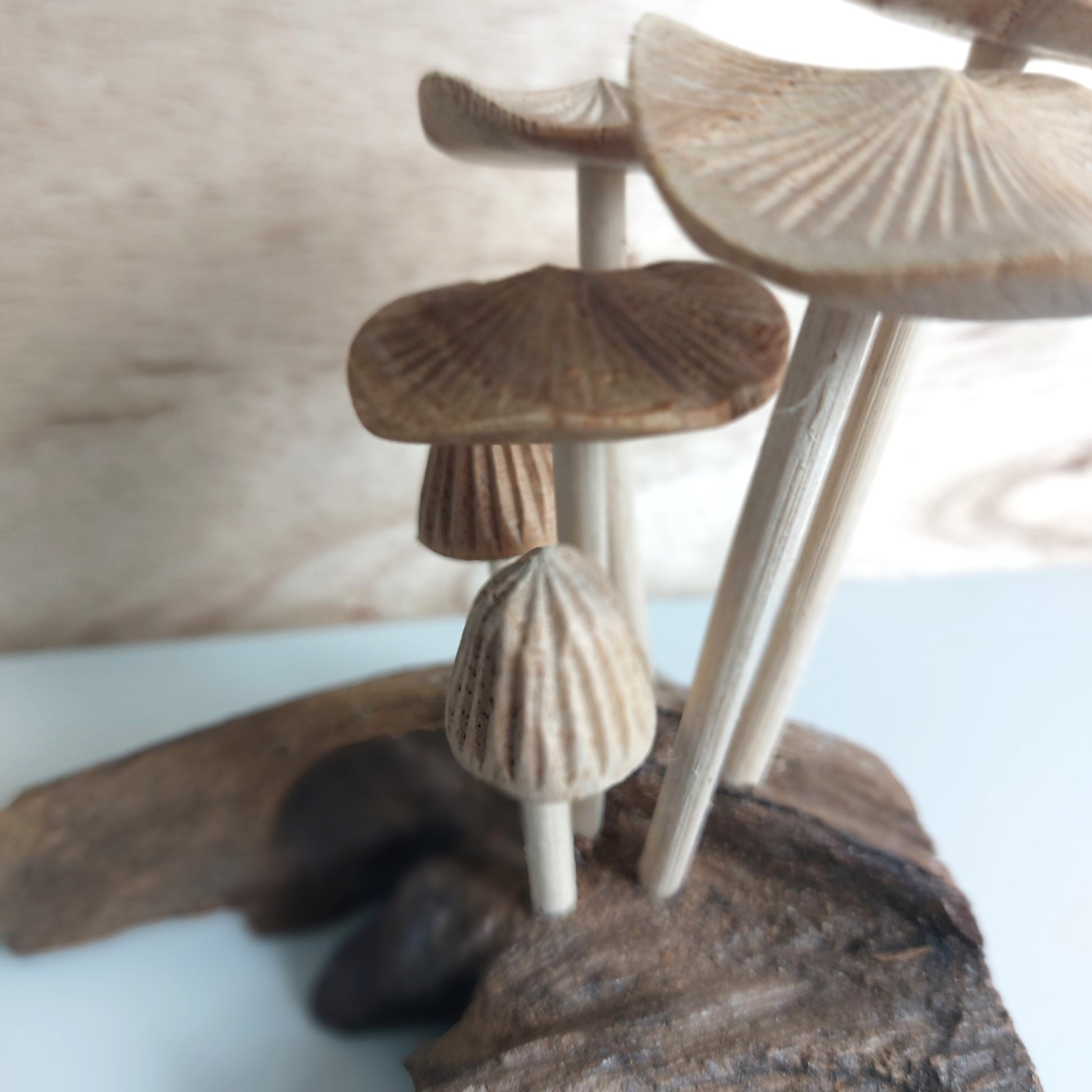 Hand Carved Decorative arrangement of wooden Mushrooms and driftwood on a neutral background
