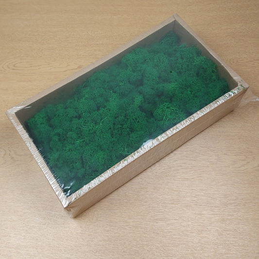 A rectangular cardboard box filled with bright green preserved Finland Reindeer moss, photographed on a light wood surface.