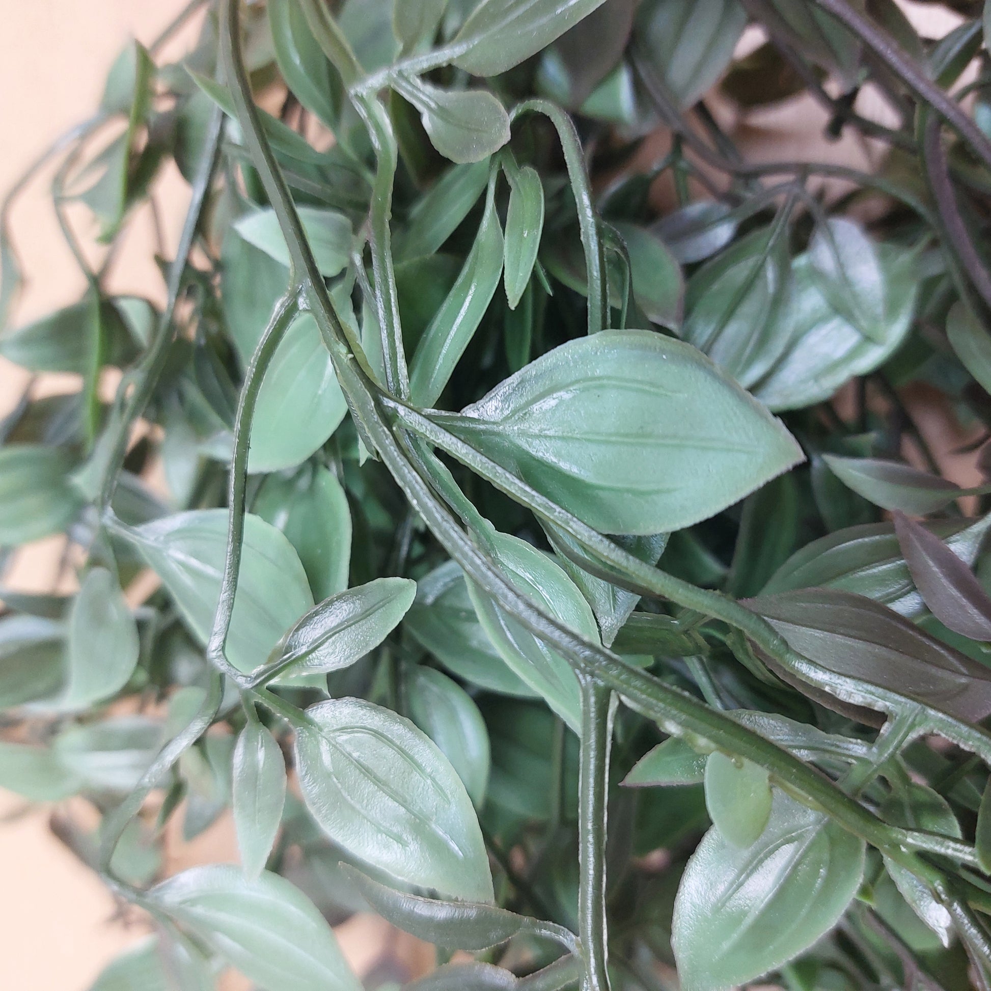 Close-up of a trailing faux ruscus plant with glossy green leaves and stems, filling the frame against a softly blurred neutral background.