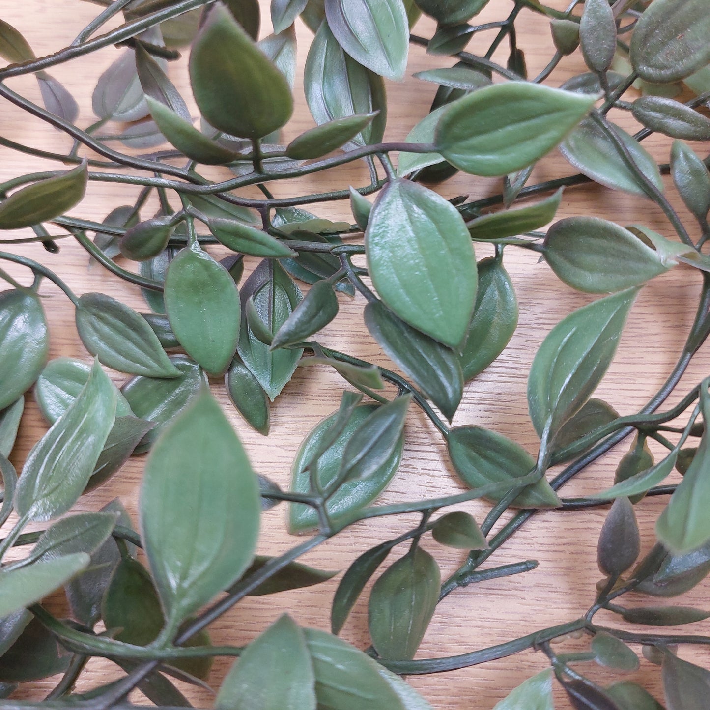 Close up of Artificial green trailing ruscus vine plant with glossy oval leaves and dark stems, laid out on a light wood surface.