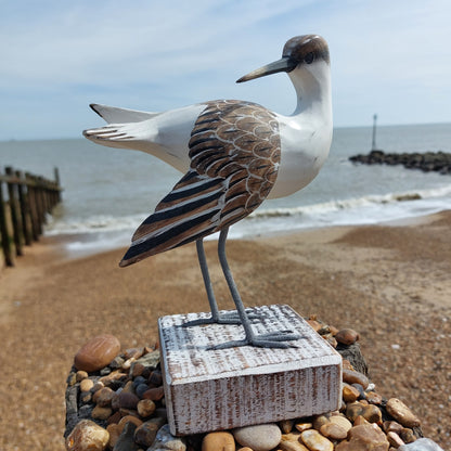 Decorative wooden brown and white Godwit bird sculpture on a pebble beach with ocean in the background