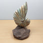 Hand carved and painted large wooden shell mounted on a driftwood base against a gray background