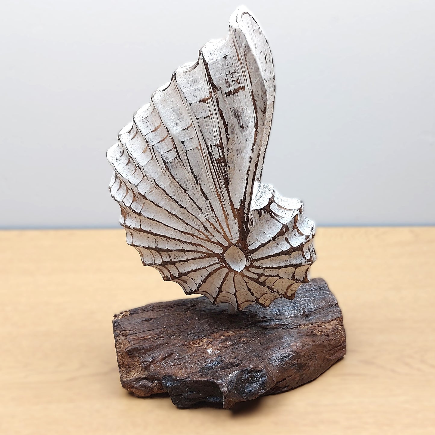 Decorative hand painted and carved White wooden shell sculpture on a wooden driftwood base against a plain background