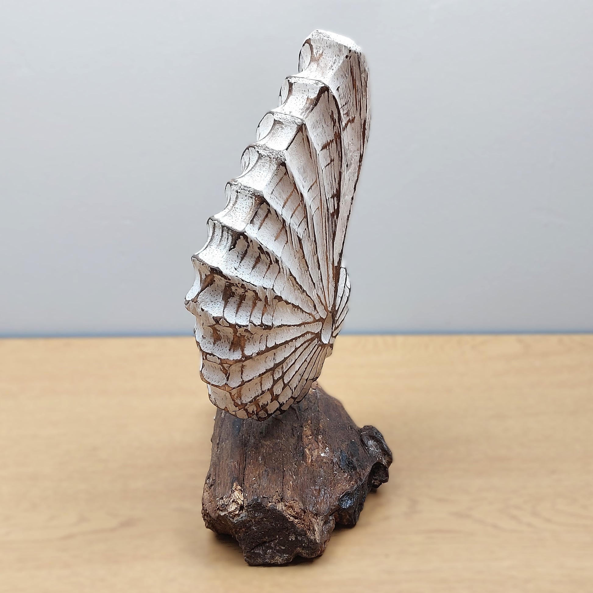 Decorative wooden White shell sculpture on a wooden base with a plain background