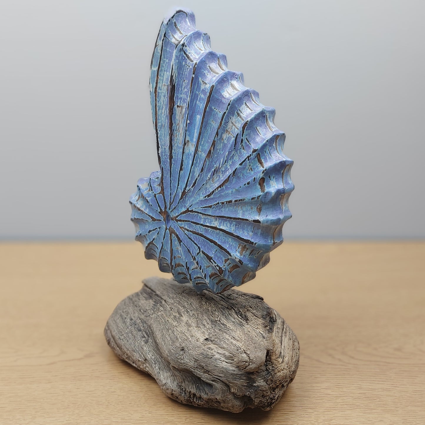 Blue wooden shell sculpture made in Bali mounted on a wooden driftwood base with a plain background