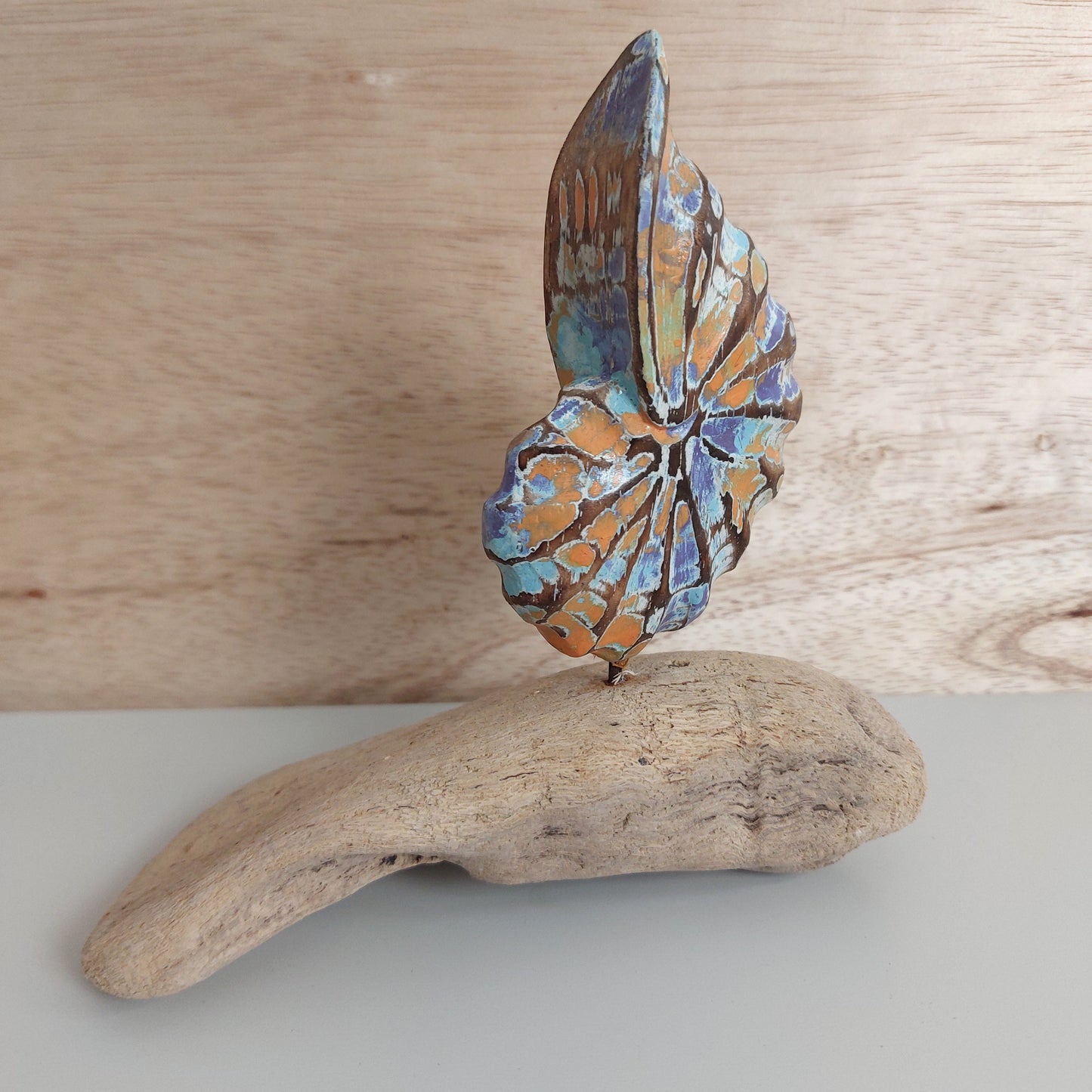 Hand carved and painted wooden shell figurine mounted on a piece of driftwood with a wooden background