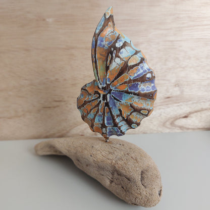 Decorative wooden shell made in Bali, which is handmade and painted with a colorful pattern of blues and oranges on a wooden surface