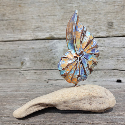 Decorative colourful wooden shell sculpture on a piece of driftwood against a wooden background