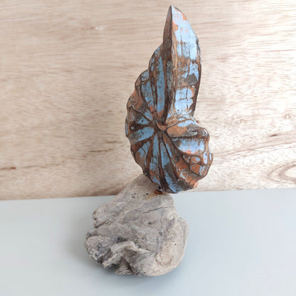 Decorative hand carved and painted wooden shell on a piece of driftwood with a wooden background