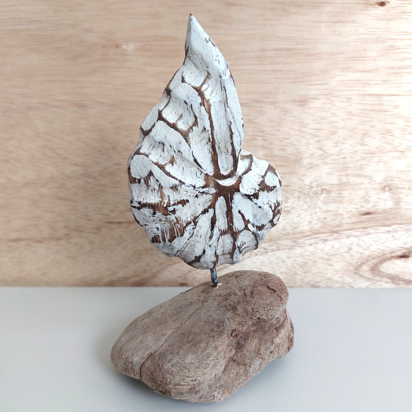 Decorative wooden painted white shell sculpture mounted on a piece of wood with a wooden background
