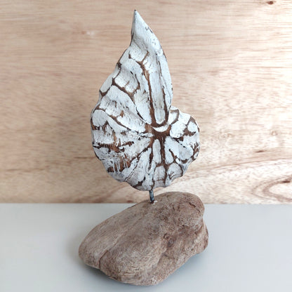 Decorative wooden painted white shell sculpture mounted on a piece of wood with a wooden background