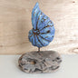 A handmade carved and painted blue wooden shell sculpture, mounted on a wooden base against a pale background.