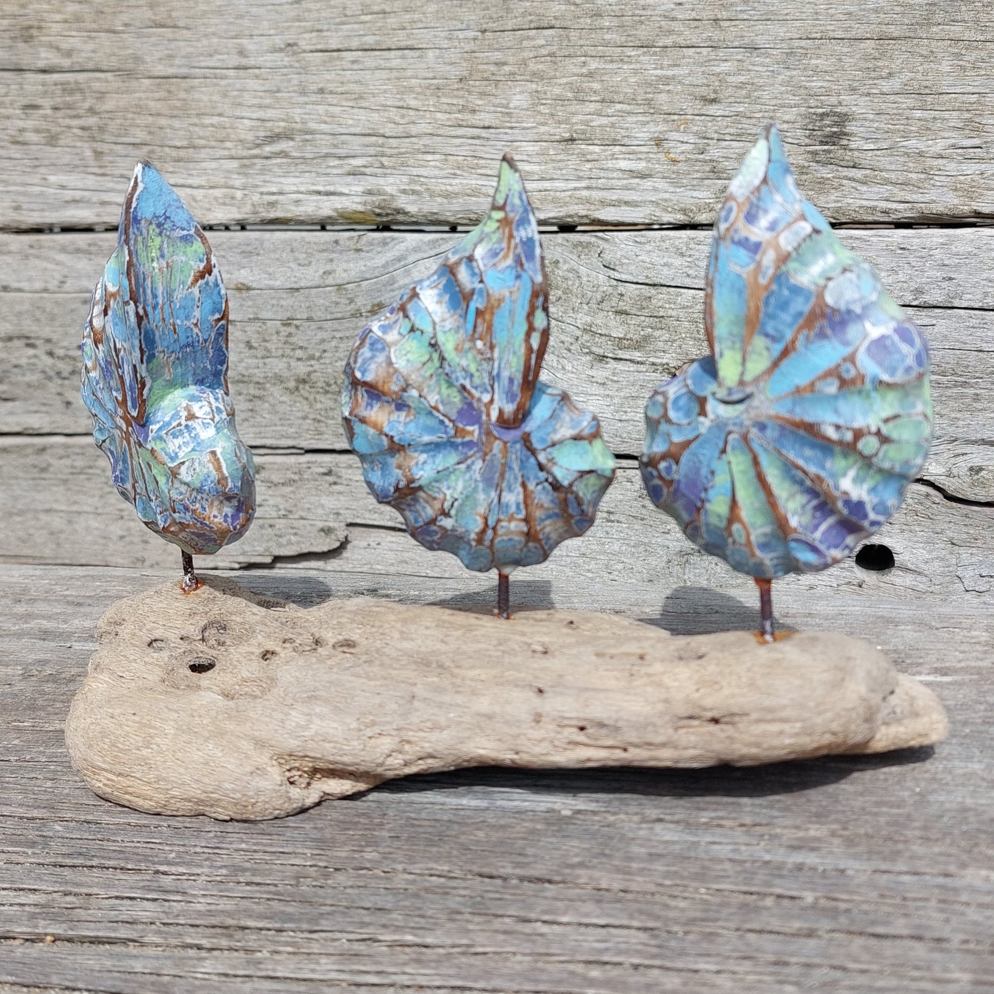 Three wooden shell sculptures on a piece of driftwood against a wooden background