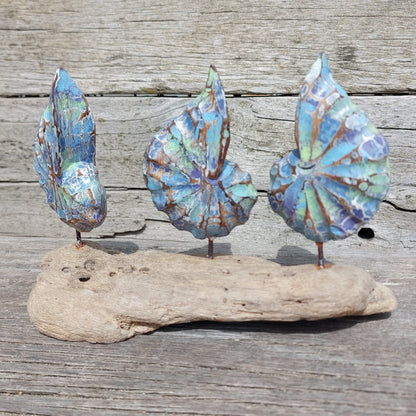 Three wooden shell sculptures on a piece of driftwood against a wooden background