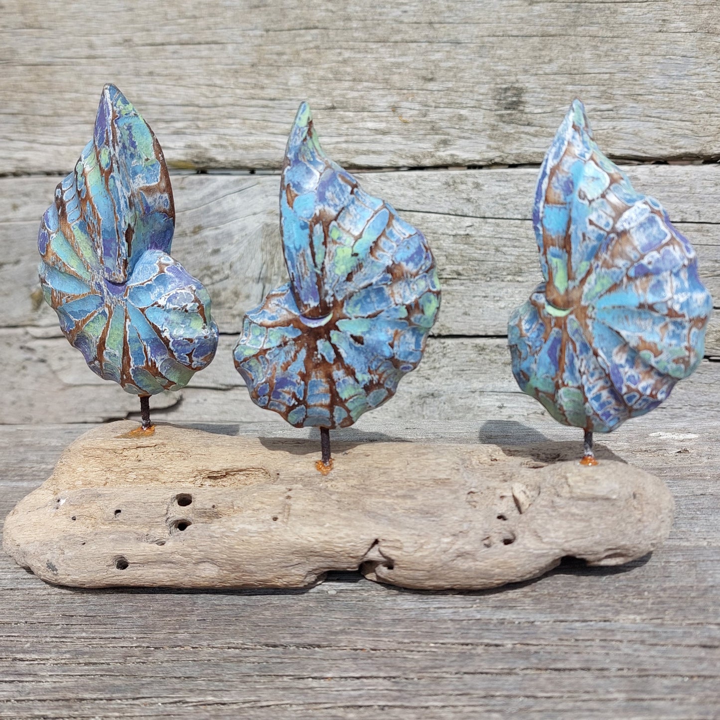 Three blue and brown wooden shell shaped objects on a piece of driftwood against a wooden background
