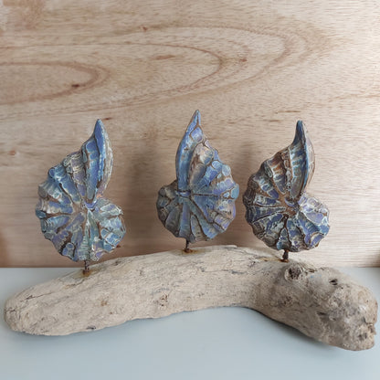 Three hand carved and painted wooden shells made in Bali mounted on a piece of driftwood with a wooden background