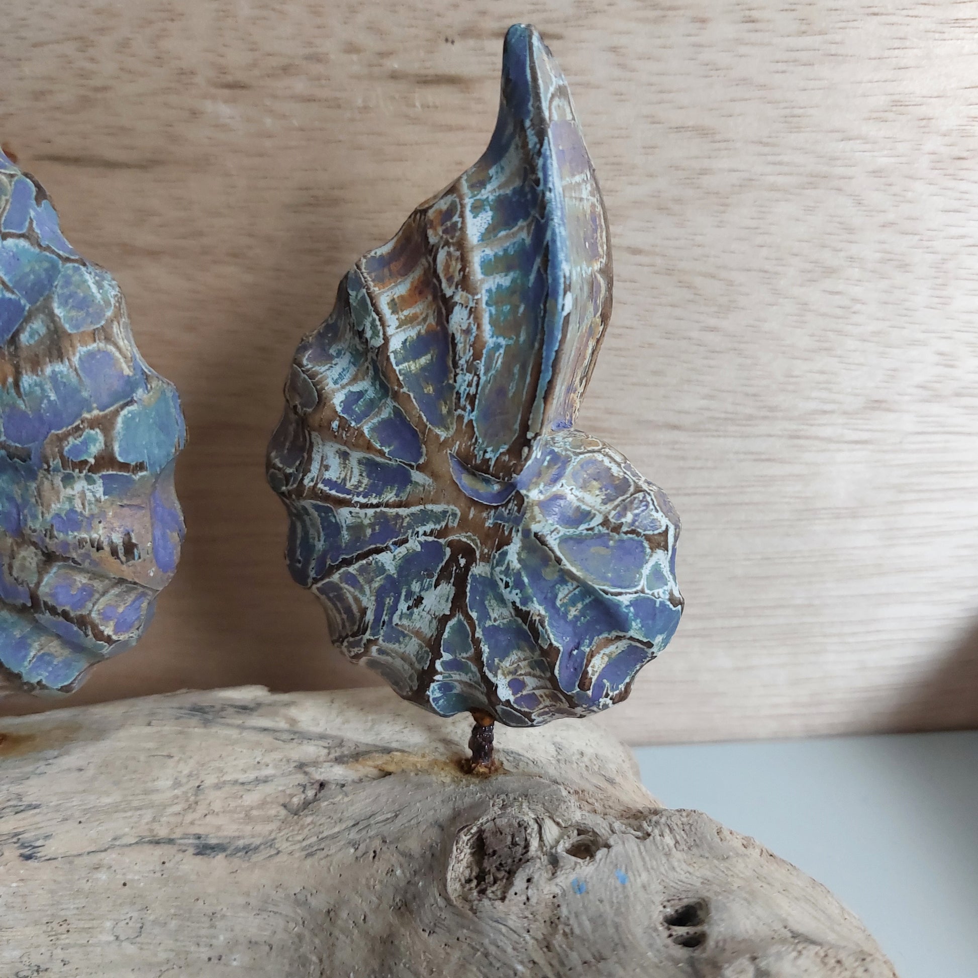 Close up of a wooden hand carved and painted shell, part of a set of three which are mounted on a wooden driftwood base against a wooden background