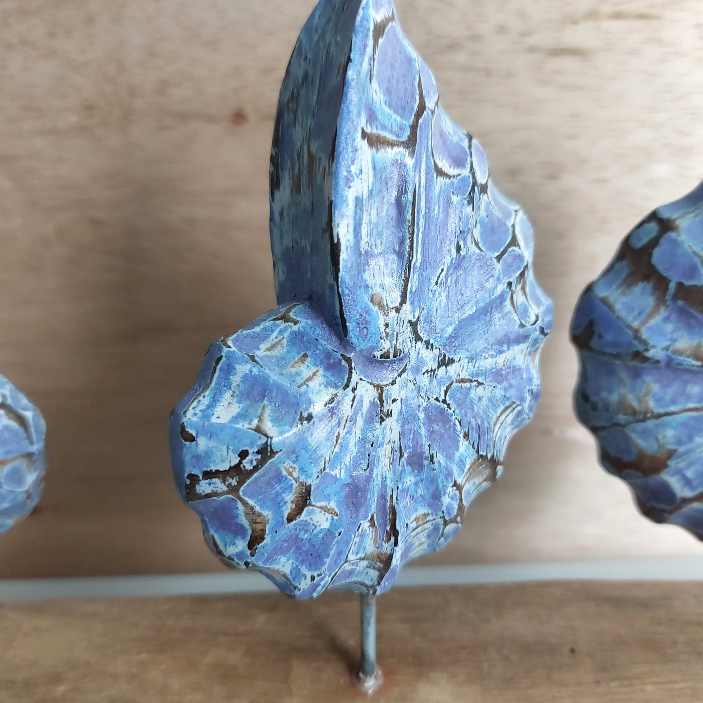 Blue hand carved wooden shells mounted on a driftwood base against a wooden backdrop