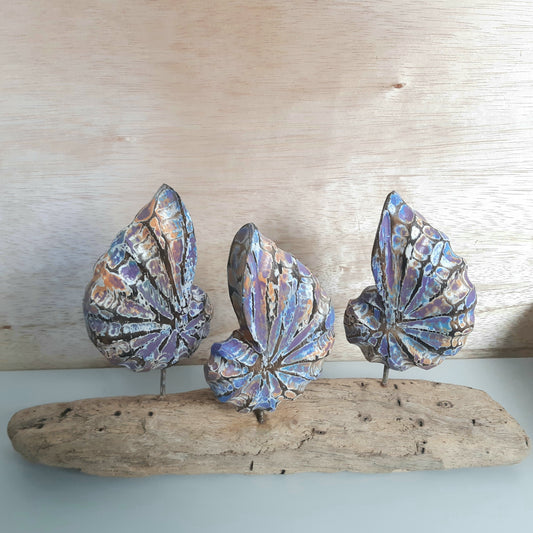 A Wooden Carved and Painted Shells On a Driftwood Base, against a grey blue and wooden background
