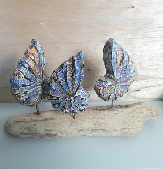 Wooden Shell sculptures on a wooden base against a light background