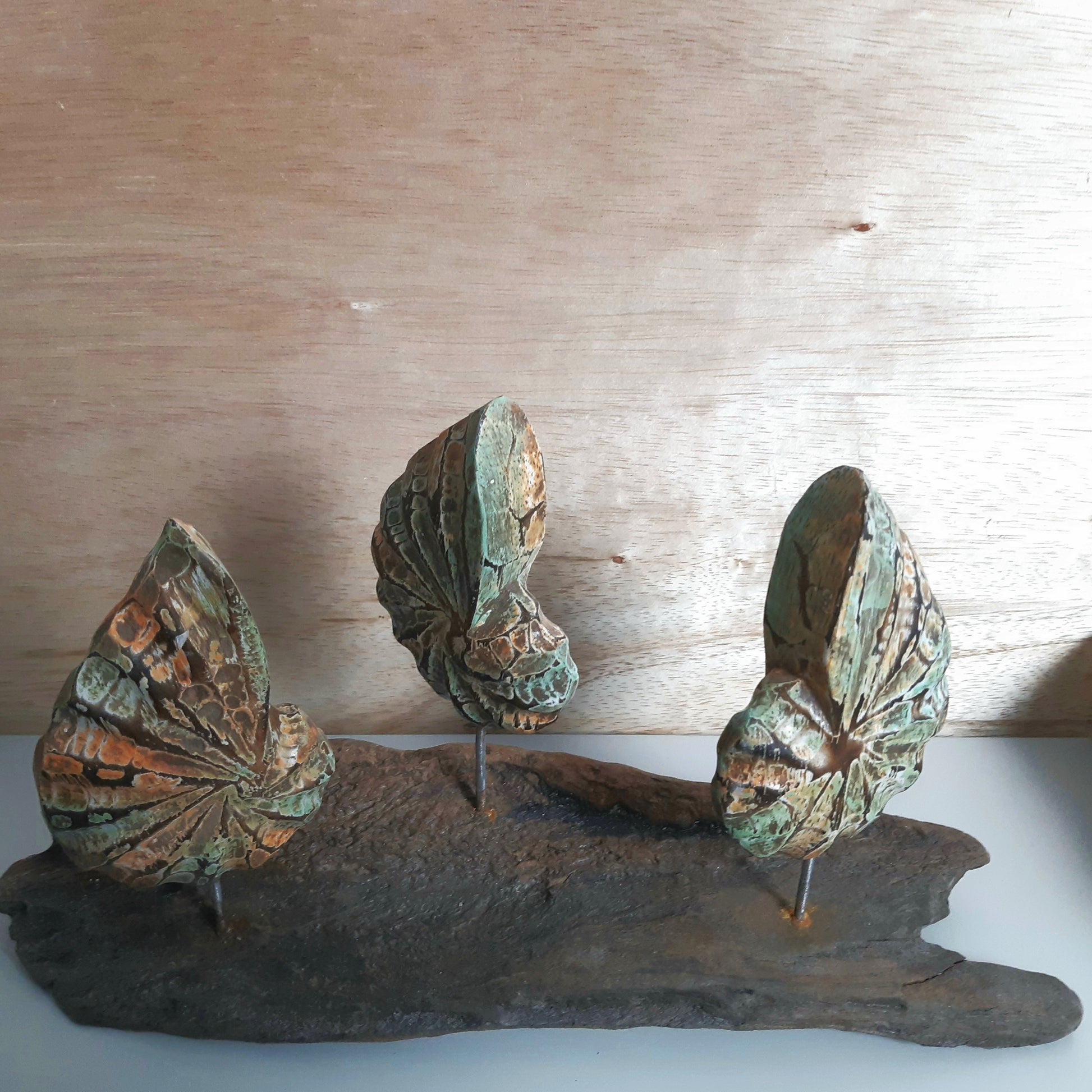 Decorative wooden sculpture of 3 shells on a wooden surface