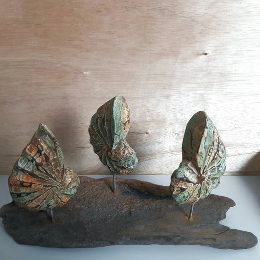 Decorative wooden sculpture of 3 shells on a wooden surface