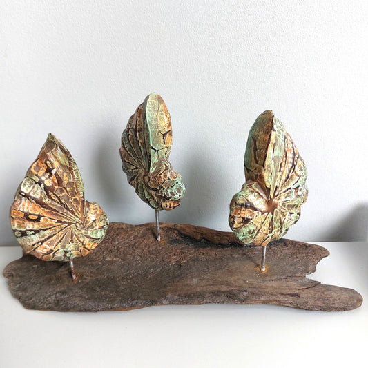 Decorative hand crafted wooden colourful shells on a wooden base against a white background