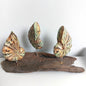 Decorative hand crafted wooden colourful shells on a wooden base against a white background