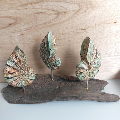 Decorative wooden painted shell sculpture on a wooden base against a wooden background