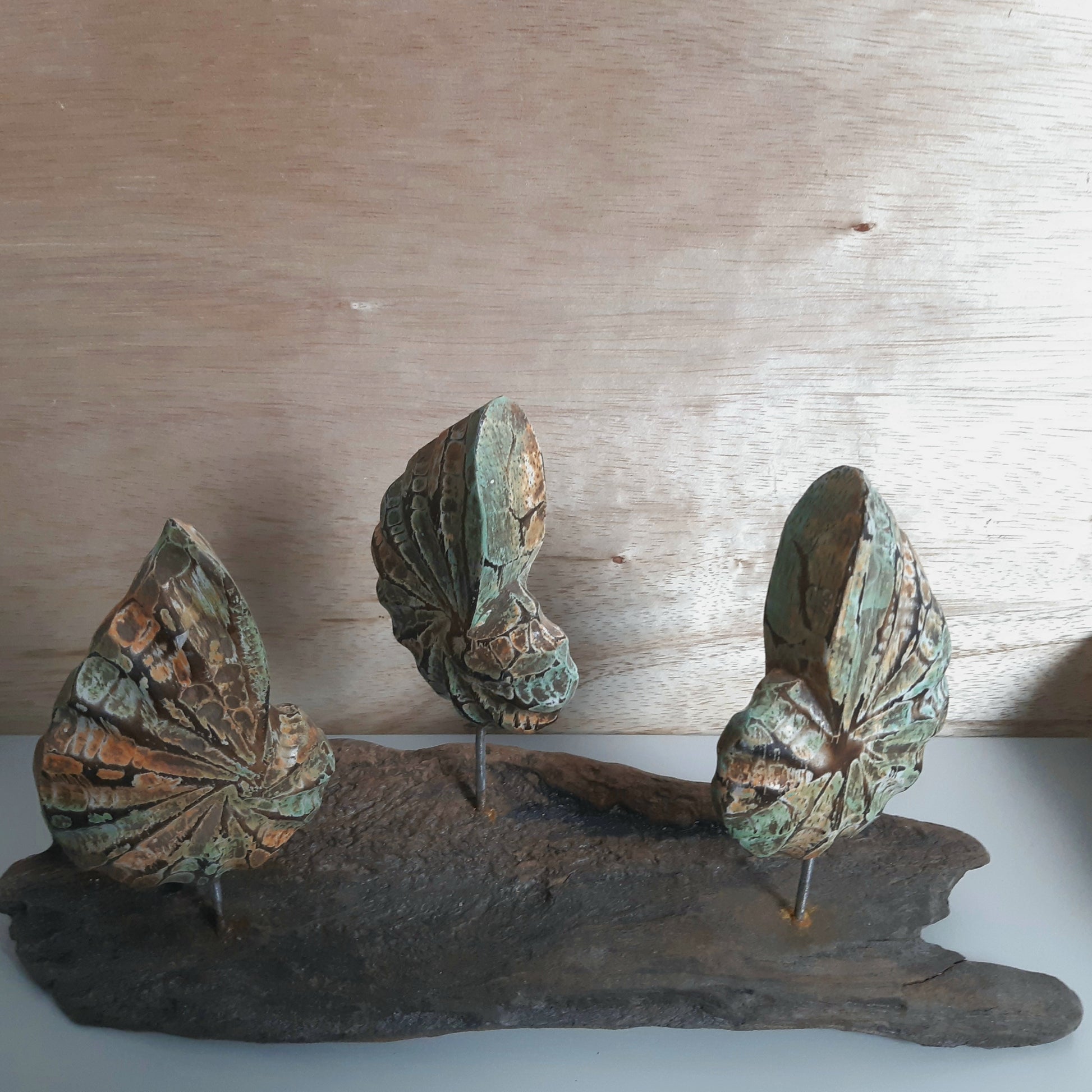 A set of 3 wooden carved and painted shells on a driftwood base with a wooden background