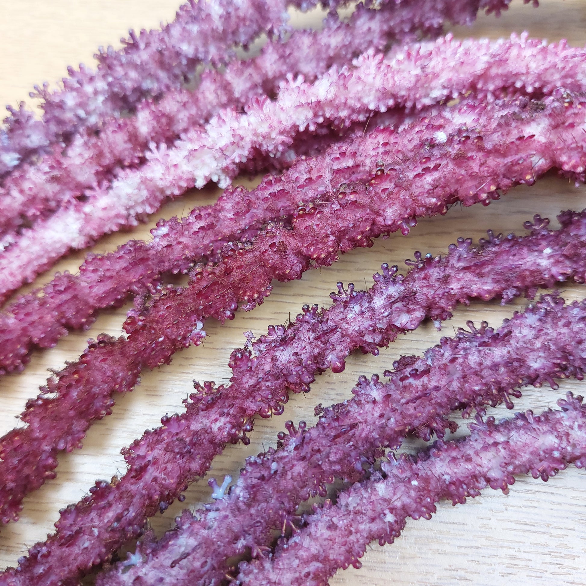 Close up of Fuchsia decorative artificial amaranthus silk flower tassels on a wooden surface