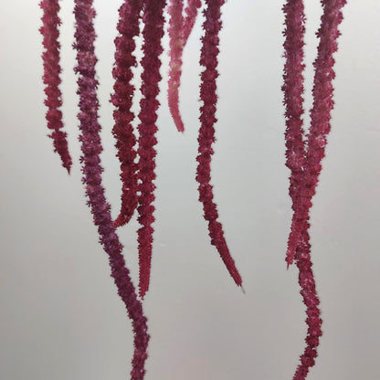 Close up of Fuchsia string-like silk flower spikes from an artificial amaranthus plant against a light gray background