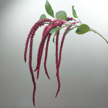 Purple, Mauve and Fuchsia trailing Amaranthus flower branch with green leaves on a light gray background
